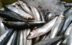 Đột quỵ rất "sợ" loại cá này, người Việt đang ăn rất nhiều mà chưa hề nhận ra
