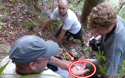 Sau hơn 100 năm bị coi là tuyệt chủng, loài vật này bất ngờ lộ diện qua một quả trứng nhỏ