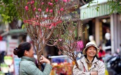 Cập nhật mới nhất thời tiết cả nước đêm Giao thừa và mùng 1 Tết Bính Ngọ 2026, xem ngay kẻo lỡ kế hoạch du xuân