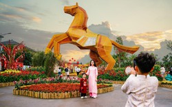 Giải mã Đường hoa Home Hanoi Xuan 2026: Tọa độ du xuân mới đang được giới trẻ Hà Nội rủ nhau check-in