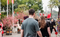 Khách Tây ngỡ ngàng trước vườn đào lớn chưa từng có nằm ngay giữa trung tâm Hà Nội