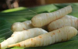 Củ dong riềng tưởng chỉ để ăn cho ấm bụng, hóa ra lại giúp xương chắc, mắt khỏe, đề kháng tốt hơn