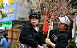 Thời tiết “quay xe” đúng đêm Giao thừa: Miền Bắc bước vào năm mới trong cơn mưa rét, nhiệt độ có nơi xuống dưới 15°C