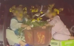 Thót tim clip 2 trẻ nhỏ ôm chậu mai ngồi trong cốp xe đang chạy ngoài đường, xem mà lạnh sống lưng