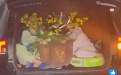 Hình ảnh khiến ai nhìn cũng phải thót tim, dân tình khó hiểu: "Bố mẹ 2 bé nghĩ gì mà làm thế này?"