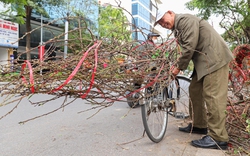 Dự báo thời tiết 29 Tết: Miền Bắc nắng đến 28°C trước khi đón không khí lạnh