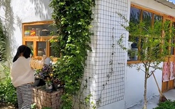 Không mua nhà thành phố, cặp vợ chồng 33 tuổi biến sân quê thành "phòng tắm nắng" và chọn một kiểu tự do tài chính khiến dân mạng tranh luận