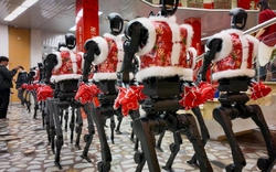 Chỉ 3 tiếng nữa, các "hình nhân" sẽ đồng loạt thức giấc ở Trung Quốc: Sàn diễn thực chất là đấu trường