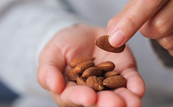 Loại hạt quen thuộc mỗi dịp Tết của người Việt, nay được khoa học coi là “siêu thực phẩm” bảo vệ não bộ, tim mạch