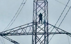 Người đàn ông thất tình trèo lên cột điện khiến 20.000 hộ dân gánh hậu quả