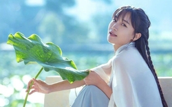 Lý Tử Thất bất ngờ xuất hiện, thông báo "việc quan trọng"