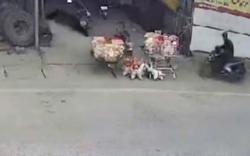 Hai trẻ bị tài xế 'ma men' tông văng khi đang chơi trước nhà, một cháu tử vong