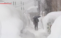 Nhiều người bị tuyết vùi lấp tử vong tại Nhật Bản