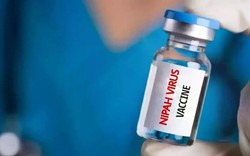 Virus tử thần có tỷ lệ tử vong tới 75% sắp có “lá chắn”: Nhật Bản thử nghiệm vaccine Nipah, cả châu Á nâng cảnh giác