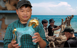 Cận cảnh "báu vật" bất ngờ lộ diện từ những cành củi khô dạt vào bờ biển Hội An sau mưa lũ