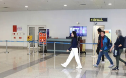 Hà Nội khuyến cáo người dân cần chủ động phòng chống dịch bệnh do virus Nipah