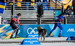 Cực hài Olympic mùa đông: VĐV đang thi đấu thì bị chó đuổi