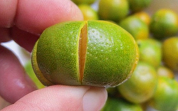 Loại quả là “báu vật" ngày Tết, đi chợ thấy bỏ qua quá phí