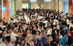 Triệu người trở lại làm sau Tết có cơ hội “đổi đời” nếu thuộc 4 con giáp này