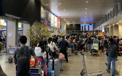 Đi du lịch mồng 5-6 có rẻ hơn mồng 1-2? Con số thực tế khiến nhiều người bất ngờ