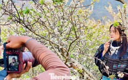 Kiếm bộn tiền nhờ dịch vụ “sống ảo” ăn theo mùa hoa Mộc Châu