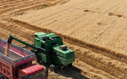 "Mỏ vàng" giữa lòng sa mạc: Quốc gia cạnh Việt Nam biến "biển tử thần" thành kho báu cho hơn 1,4 tỷ người