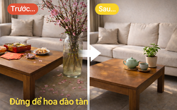 Mùng 5 Tết: Đừng để hoa đào tàn làm nhà nặng năng lượng