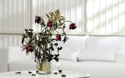 Sau Tết nhiều nhà mắc 5 lỗi phong thủy mà không biết: Bảo sao tiền bạc trôi tuồn tuột