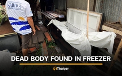 Thấy 2 chân người thò ra từ chiếc tủ đông lạnh, người đàn ông đến gần thì sợ hãi khi bi kịch phơi bày