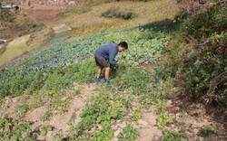 Từ lương 1,9 tỷ đồng/năm xuống còn 22 triệu đồng/tháng: Người đàn ông có học vị tiến sĩ nói mình mới là "kẻ chiến thắng" thực sự