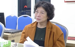 Truy tố 2 mẹ con Chủ tịch Tập đoàn Sen Tài Thu lừa đảo gần 1.000 tỉ đồng