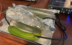 Giới sành âm thanh ngã ngửa vì không thể phân biệt được cáp đắt tiền và một quả chuối xanh