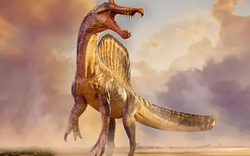 Phát hiện chấn động: Rồng thực sự tồn tại?