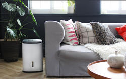 Phòng khách dưới 30m2 nên chọn máy hút ẩm công suất bao nhiêu thì "đẹp"?