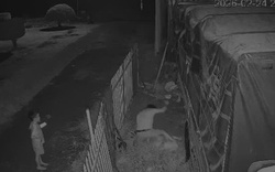 Đồng Tháp: Chồng đâm vợ bất chấp con nhỏ cầu xin "cha đừng xử lý mẹ"