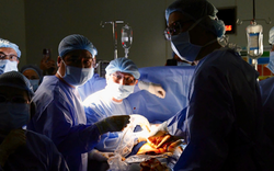 Nhịp đập trở lại, hy vọng nở hoa