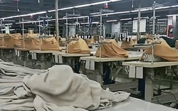 Thêm trường hợp người sử dụng lao động được tạm dừng đóng BHXH từ ngày 1-3