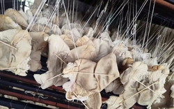 Hơn 55 tấn lòng, dạ dày và chân gà không rõ nguồn gốc trong kho doanh nghiệp ở Hải Phòng