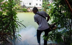 Loài động vật nguy hiểm nhất thế giới giết chết hơn 1.000.000 người mỗi năm: Không phải con vật bạn đang nghĩ