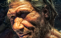 Những phụ nữ lấy chồng khác loài: DNA "ma" ở loài người được giải mã