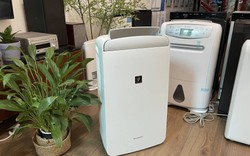 Món đồ hot nhất lúc này, đại lý nhập gấp 10 lần vẫn không kịp bán