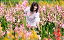 Vườn hoa lay-ơn nở muộn bất ngờ trở nên rất hot ở Đà Lạt