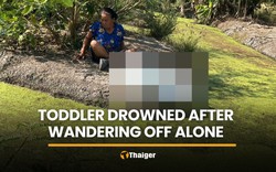 Không được ai trông nom, đứa trẻ hơn 1 tuổi tự đi ra khỏi nhà, 1 lúc sau thì gia đình nghe tin dữ
