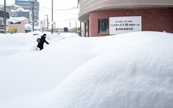 Thảm họa tuyết trắng tại Nhật Bản: Tuyết rơi dày khiến 30 người thiệt mạng, 324 người bị thương