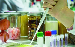 Khẩn trương gỡ vướng Nghị định 46: Bộ Công Thương công bố danh sách 24 đơn vị đủ điều kiện kiểm tra, kiểm nghiệm an toàn thực phẩm