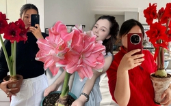 Tết này đừng chỉ chơi đào quất: Thử ngay loài hoa "hệ lười" không cần tưới vẫn nở rực rỡ, tên gọi nghe thôi đã thấy tiền tài tới tấp!