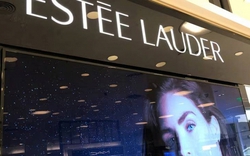 Estée Lauder bị phạt 14 tỷ đồng: “Hóa chất vĩnh cửu” được hãng này sử dụng có hại thế nào?