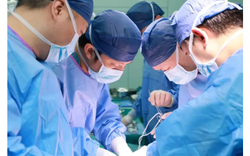 Trung Quốc ứng dụng gan lợn chỉnh sửa gen hỗ trợ điều trị suy gan