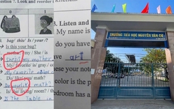 Vụ cô giáo sửa bài thi để "dìm" điểm học sinh: Quyết định của nhà trường