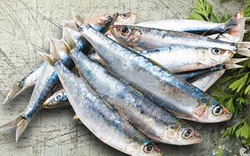 7 loại cá tích tụ thủy ngân nhiều bậc nhất